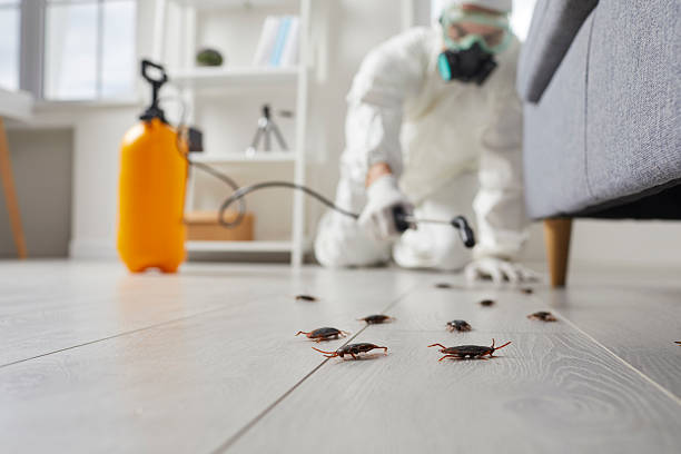 Commercial Kitchen Cockroach Control in Chebanse